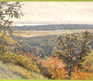 ae8734 - RUSSIA - Vintage Postcard - ILLUSTRATED