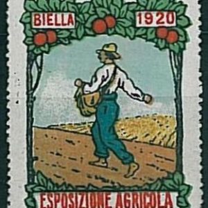 38593  BIELLA Citta'  - Chiudilettere d'epoca: 1920 Esposizione Agricola