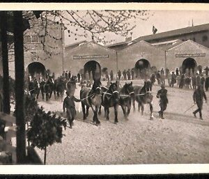 ab1294 - CARTOLINA D'EPOCA - MILANO Città