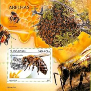 A7599 - GUINE BISSAU - ERROR MISPERF Stamp Sheet - 2021 - Insects, Honey Bees