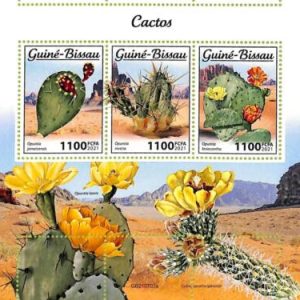 A7606 - GUINE BISSAU - ERROR MISPERF Stamp Sheet - 2021 - Cactusses