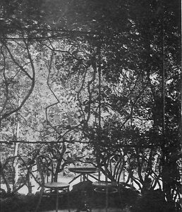 ab2725 - CARTOLINA D'EPOCA - Genova Provincia : Pra Ligure