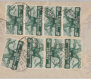 ITALIA COLONIE: ERITREA - Storia Postale: Sass 207 * 8 su BUSTA da ADI CAIE 1935