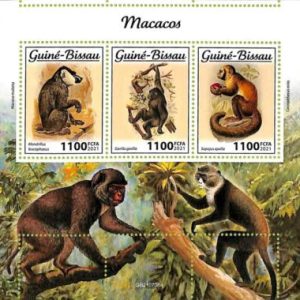 A7581 - GUINE BISSAU - ERROR MISPERF Stamp Sheet -  2021 - Monkeys