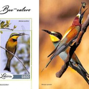 A9028 - LIBERIA - ERROR MISPERF Stamp Sheet - 2022  - Birds, Bee-eaters