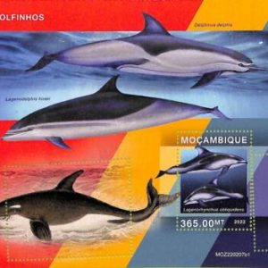 A9072 - Mozambique - ERROR MISPERF Stamp Sheet - 2022 - Marine life, DOLPHINS