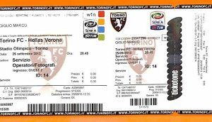 C2171- Vecchio BIGLIETTO PARTITA CALCIO - 2013 TORINO VS HELLAS VERONA