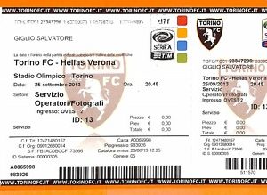 C2174- Vecchio BIGLIETTO PARTITA CALCIO - 2013 TORINO VS HELLAS VERONA