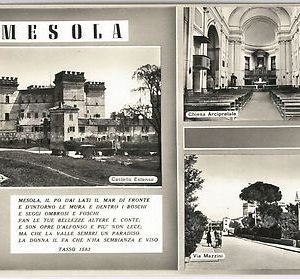 49467  CARTOLINA d'Epoca -  FERRARA provincia  -  MESOLA