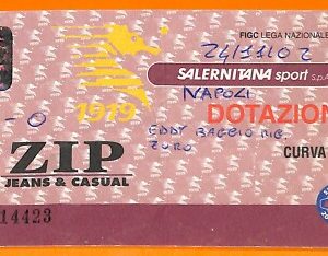 C2056- Vecchio BIGLIETTO PARTITA CALCIO - 2002 SALERNITANA VS NAPOLI