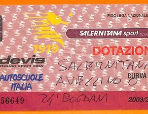C2070- Vecchio BIGLIETTO PARTITA CALCIO - 2003-2004 SALERNITANA VS AVELLINO