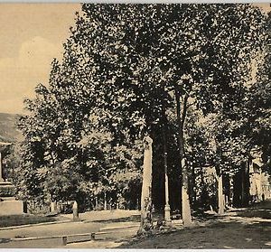 49543   CARTOLINA d'Epoca - PRATO provincia - Montepiano