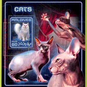 B0564 - MALDIVES - ERROR MISPERF Stamp Sheet - 2018 -  ANIMALS, CATS
