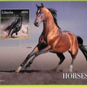 B0501 - LIBERIA - ERROR MISPERF Stamp Sheet - 2022 - Animals, HORSE