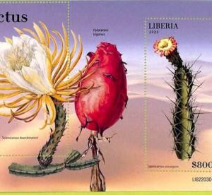 B0549 - LIBERIA - ERROR MISPERF Stamp Sheet - 2022 - FLOWERS, Cactus