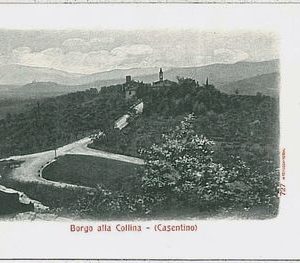 31944  CARTOLINA d'Epoca AREZZO provincia - BORGO ALLA  COLLINA