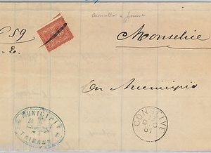 REGNO - STORIA POSTALE : Sass  T15 ISOLATO su  BUSTA annullato a PIUMA Conselve