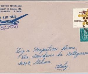49012 - INDIA - POSTAL HISTORY - COVER to ITALY 1980'S - INSECTS Honey BEES