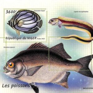 A9164 - NIGER - ERROR MISPERF Stamp Sheet -  2022 - Marine life,  Fish