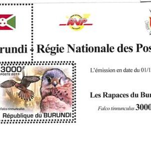 A0027 - BURUNDI - ERROR, 2012  MISSPERF SHEET - BIRDS Hawk