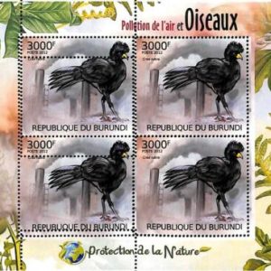 A0040 - BURUNDI - ERROR, 2012  MISSPERF SHEET - BIRDS Great curassow