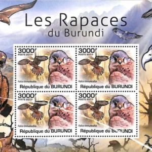 A0082 - BURUNDI - ERROR, 2011   Miniature SHEET - FAUNA Birds HAWKS