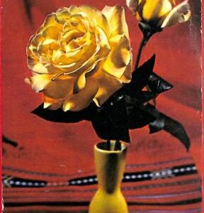 aa3142 - ROMANIA - Postal History - STATIONERY CARD 1973 Flowers ROSES