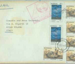 86279 - BOTSWANA - Postal History -  COVER to ITALY 1990  Fauna ANIMALS Fox