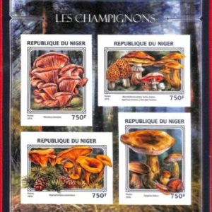 A4393 - NIGER - ERROR IMPERF Miniature sheet: 2016, Mushrooms
