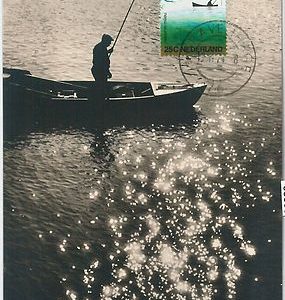 63606  -  NETHERLANDS - POSTAL HISTORY: MAXIMUM CARD 1975 -  FISHING