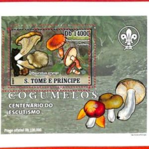 A3383- SAO TOME & PRINCIPE, ERROR MISPERF Souvenir s: 2007 Mushrooms, Boy Scouts