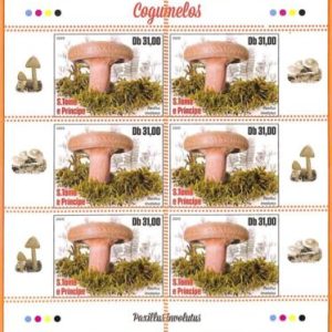 A6748 - SAO TOME & PRINCIPE, Error, 2020, MISSPERF MINIATURE SHEET: Mushrooms
