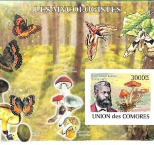 A0321 - COMORES Comoros -  IMPERF 2008  stamp SHEET:  Nature MUSHROOMS