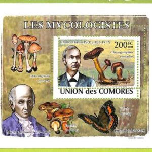 A0310 - COMORES Comoros -  MISPERF 2008  stamp SHEET:  Nature MUSHROOMS
