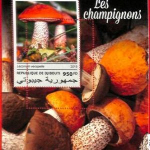 A1761 - DJIBOUTI, ERROR: MISSPERF, SOUVENIR SHEET - 2019, Mushrooms