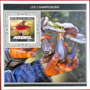 A4000 - Djibouti - ERROR IMPERF, Souvenir sheet: 2018, Mushrooms, Frogs