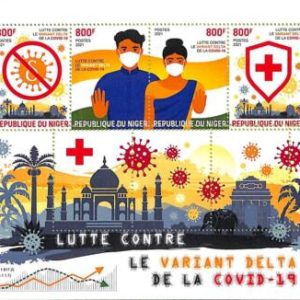 A8427 - NIGER - ERROR MISPERF Stamp Sheet - 2021 Disease Medicine