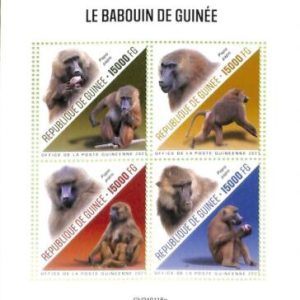 A7936 - REP.GUINEE - ERROR MISPERF Stamp Sheet - 2021  ANIMALS Monkeys