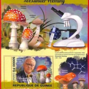 A1953 -GUINEA, ERROR: MISSPERF, SOUVENIR S -2019 Mushrooms, A. Fleming, Medicine