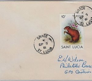 39804  ST LUCIA -  POSTAL HISTORY - COVER with nice postmark: GRACE 1981