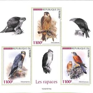 A8745 - TCHAD -  Stamp Sheet - 2021 BIRDS OF PREY