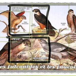 A8890  - TOGOLAISE - ERROR MISPERF Stamp Sheet - 2021  BIRDS