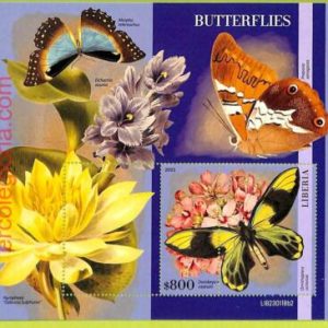 B0533 - LIBERIA - ERROR MISPERF Stamp Sheet - 2023 - INSECTS, Butterflies
