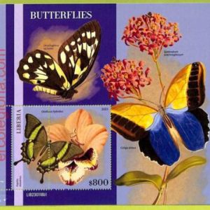 B0535 - LIBERIA - ERROR MISPERF Stamp Sheet - 2023 - INSECTS, Butterflies