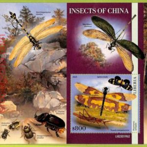 B0534 - LIBERIA - Stamp Sheet - 2023 - INSECTS of China