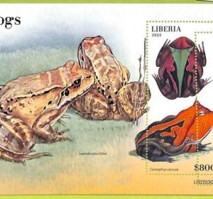 B0509 - LIBERIA - ERROR MISPERF Stamp Sheet - 2022 - Reptiles, Frogs