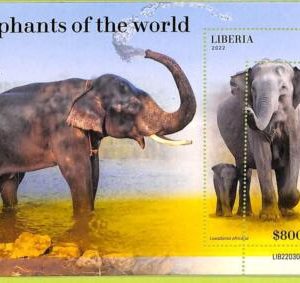 B0511 - LIBERIA - ERROR MISPERF Stamp Sheet - 2022 - Elephants of the world