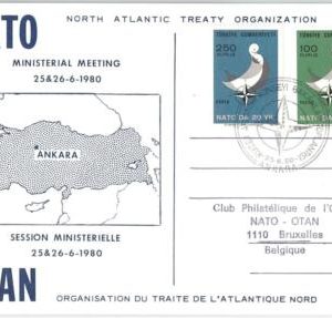59836 -  TURKEY - POSTAL HISTORY:  SPECIAL CARD  1980 -  ROTARY  Birds