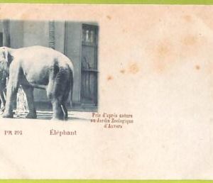 af4445 - BELGIUM Belgique - Carte Postal Ancienne VINTAGE  POSTCARD -Anvers