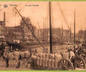 af4471 - BELGIUM Belgique - Carte Postal Ancienne VINTAGE  POSTCARD -Anvers